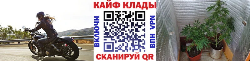 Как найти закладки Крым Марихуана КОКАИН hydra ONION A-PVP Мефедрон ГАШИШ МДМА