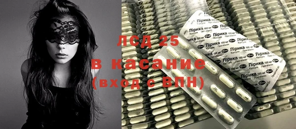 ECSTASY Алзамай