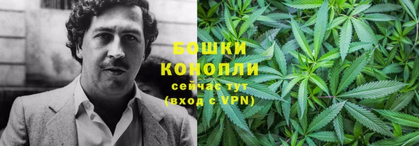 PSILOCYBIN Алексеевка